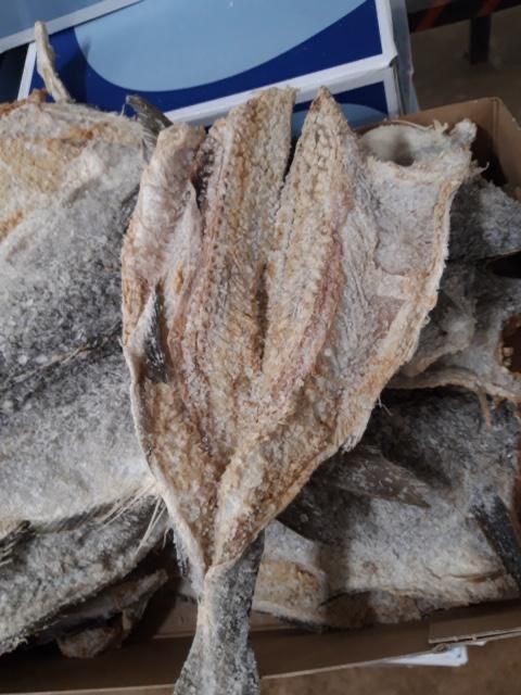 POISSON SALE MAKAYABU - 9 KILO, FRIGO, MAX+5°C  - 30-35PIECES/CARTON, price/box