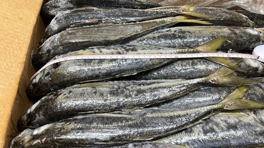 CHINCHARD / MACKEREL +18 / -18°C, price by kilo